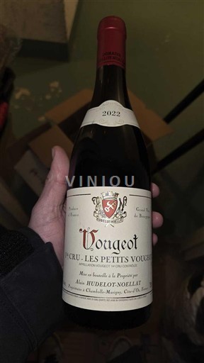 Bourgogne Vougeot Premier Cru Alain Hudelot-Noëllat Les Petits Vougeots 2022