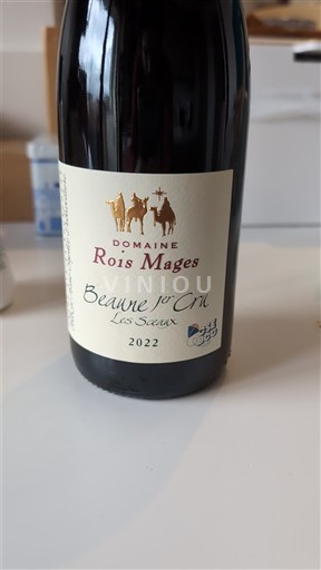 Borgogna Beaune Premier Cru Domaine Rois Mages Les Sceaux 2022
