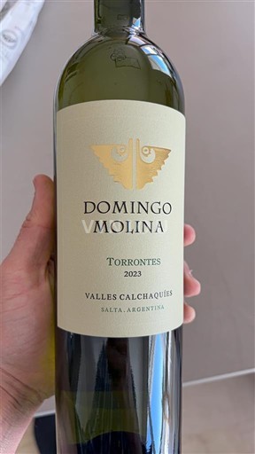 Salta Ikke spesifisert Domingo Molina Torrontés 2023