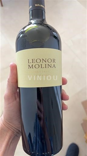 Salta Calchaquíes-dalene Domingo Molina Cabernet Sauvignon 2018