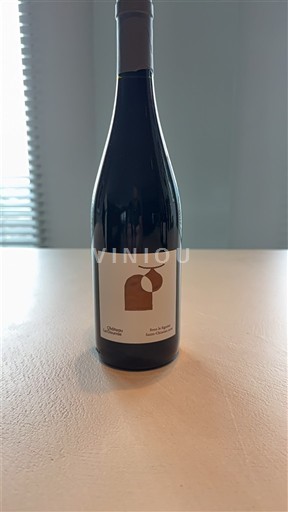 Vale do Loire Saumur-champigny Domaine Bobinet Les Landes 2022