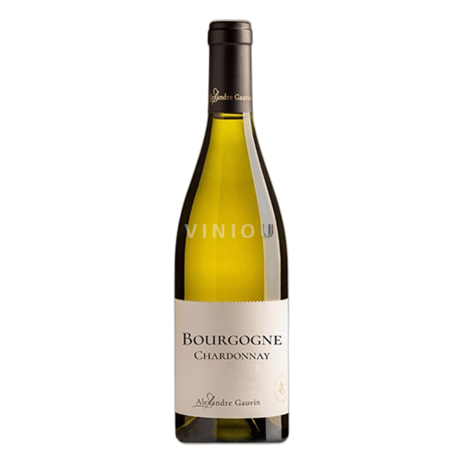 Burgundi Bourgogne Chardonnay Alexandre Gauvin 2023