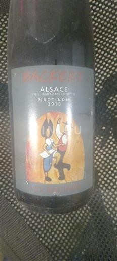 Алзас Аласас Backert 2016