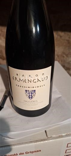 Langvedok Faugères Caussiniojouls Baron Ermengaud Neleten.