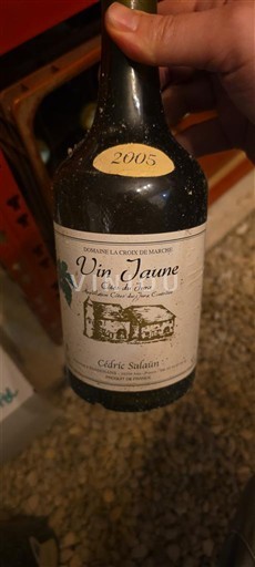 Jura Côtes-du-jura Domaine La Croix De Marche Cédric Salaün Vin Jaune 2005