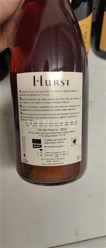 Алзас Аласас Hurst Hono 2022