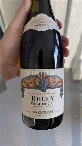 Bourgogne Rully Premier Cru Morin Père et Fils 2022