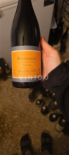 Bourgogne Domaine Gallois 2012