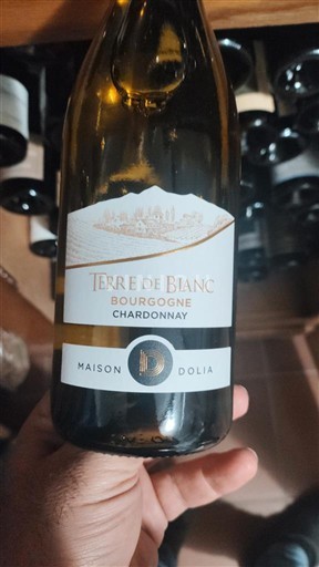 Bourgogne Maison Dolia Terre de Blanc 2023