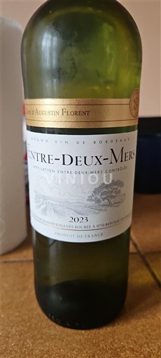 Bordoja Midis dy dete Baron Augustin Florent 2023