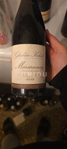 Bourgogne Marsannay Ghislain Kohut En Champforeys Vieilles Vignes 2013