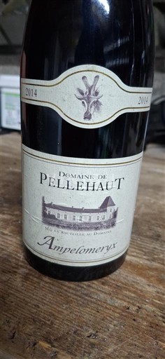 Sud-Vest Côtes de Gascogne Domaine Pellehaut Ampelomeryx 2014