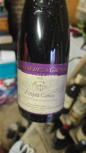 Lugina e Luarës Anjou-gamay Domaine La Gauterie 2007