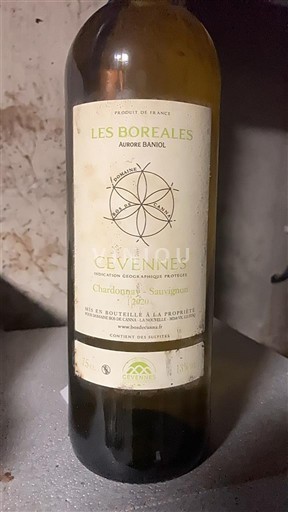 Lengdok dhe Rusionjë Cévennes Aurore Banol Les Boréales 2021