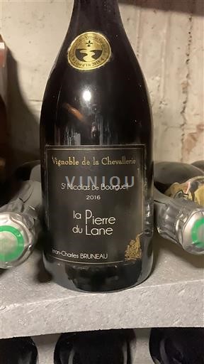 Loire-dalen Saint-Nicolas-De-Bourgueil Vignoble de la Chevallerie la Pierre du Lane 2016