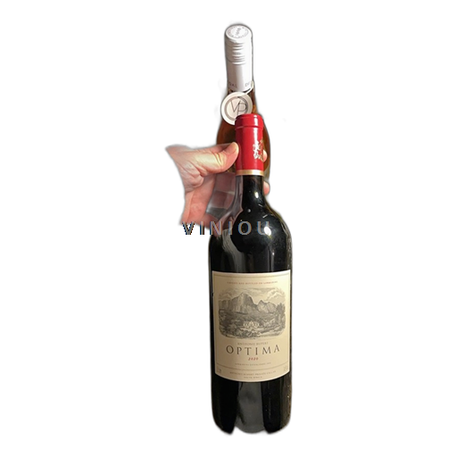 Primorski region Франшхук Anthonij Rupert Optima 2020