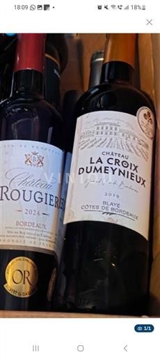 Burdeos Bordeaux Château Rougieres 2024