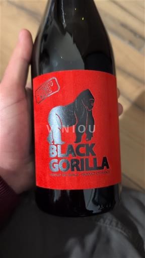 Лангедок и Русијон Окситански регион Black Gorilla 2024