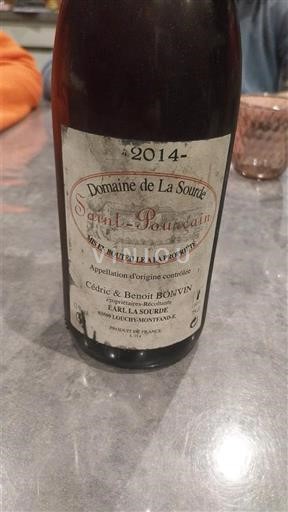 Lugina e Luarës Saint-Pourçain Domaine La Source 2014