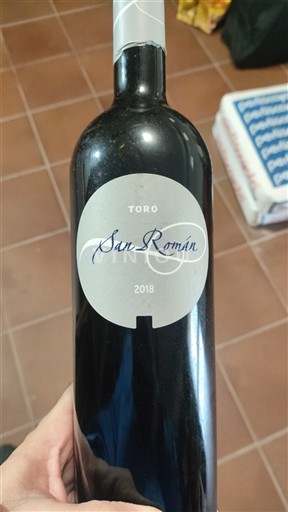 Kastilja dhe Leoni Toro San Roman 2018