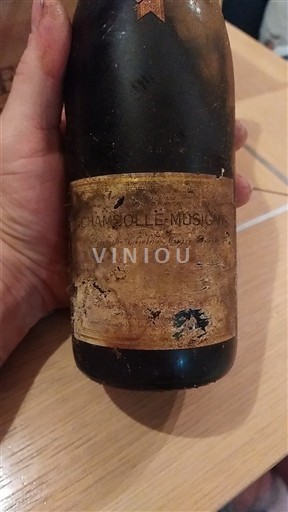 Burgundija Chambolle-Musigny Morin Père & Fils 1999