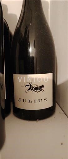 Viinit Rouge sec Julius Domaine Roches Neuves 2019 Ranska Loiren laakso Saumur AOC
