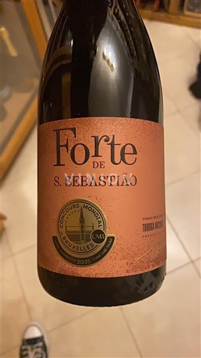 Лисабон Forte de S. Sebastião 2023