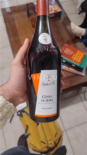 Jura Côtes-du-jura Hubert Clavelin et Fils 2023