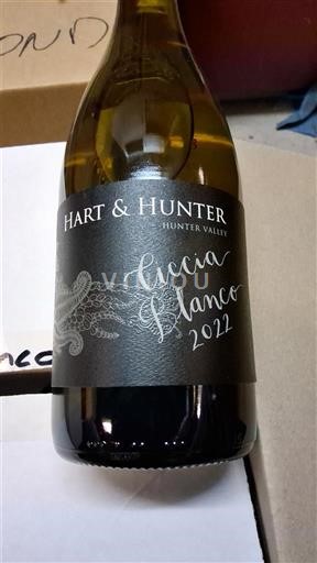 Uelsi i Ri Rajoni i Gjuetisë Hart & Hunter Ciccia Blanco 2022