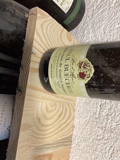 Алзас Аласас Paul Buecher 2005