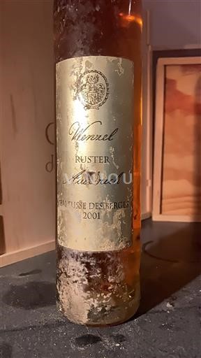 Бургенланд Рустер Аусбрух Wenzel Am Fusse des Berges 2001