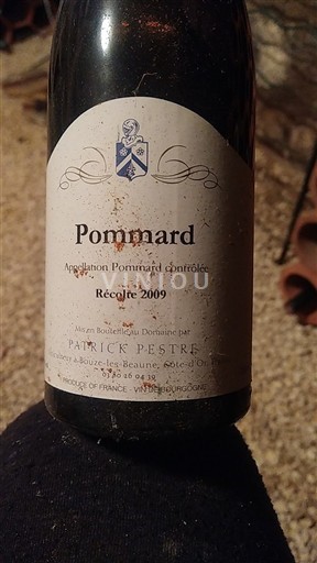 Burgund Pommard Patrick Pestre 2009