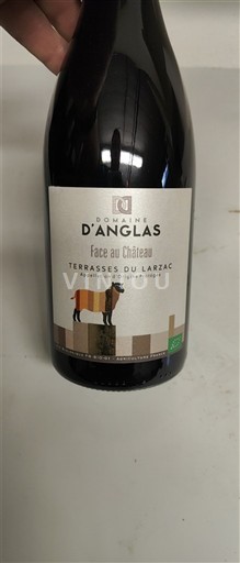 Languedok Terrasses-du-larzac Domaine Anglas Face au Château 2022