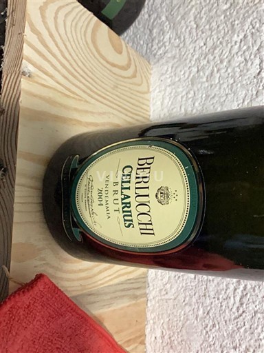 Lombardia Franciacorta Berlucchi Cellarius Brut 2004