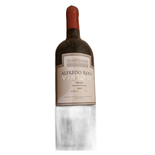 Mendoza Alfredo Roca Fincas 2013