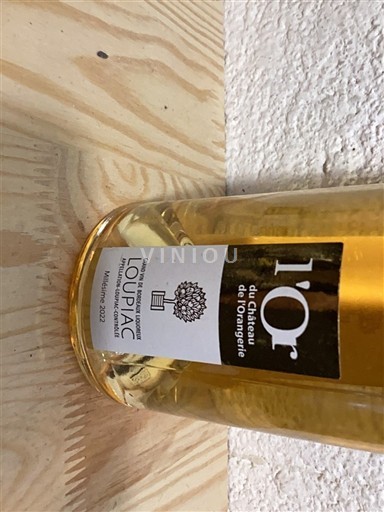 Bordoja Loupiac Château L'Orangerie L'Or 2022