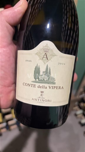 Umbrija Nespecificirano Antinori Conte della Vipera 2024