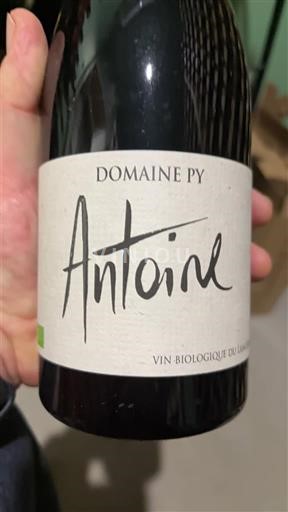 Лангедок Корбијер Domaine Py Antoine 2021