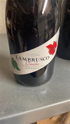 Emilia-Romagna Lambrusco Amabile Emilia Ikke-årgang