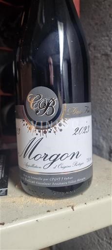 Beaujolais Morgon Cave du Beaujolais 2023