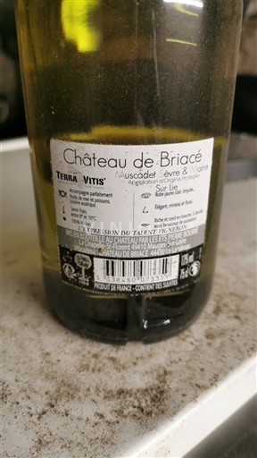 Vinos Blanc sec Château Briacé Non millésimé Francia Valle del Loira No especificado AOC