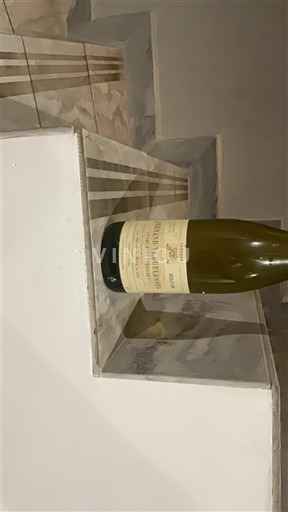 Burgundi Pernand-Vergelesses Premier Cru EARL Pierre Marey et Fils Sous frétille 2008