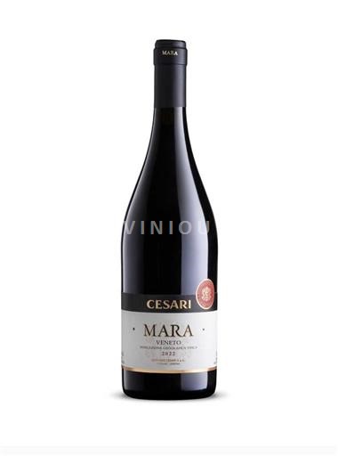 Venecia Veneto Cesari Mara 2022