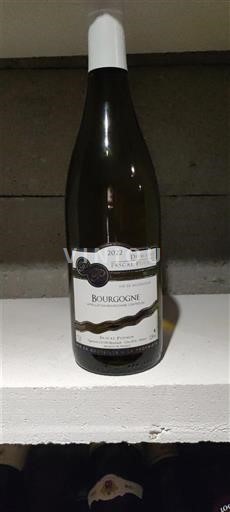 Burgundy Domaine Pascal Pouhin 2022