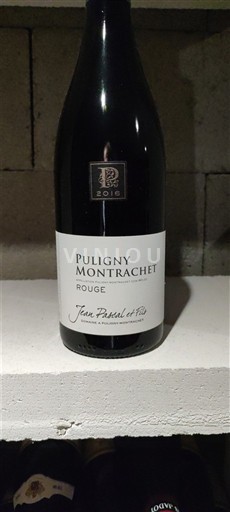 Burgund Puligny-Montrachet Jean Pascal et Fils 2016