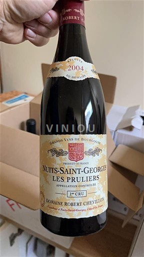 Borgogna Non specificato Premier Cru Domaine Robert Chevillon Les Pruliers 2004