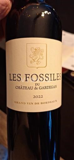 Bordoja Castillon-côtes-de-bordeaux Château Gardegan Les Fossiles 2022