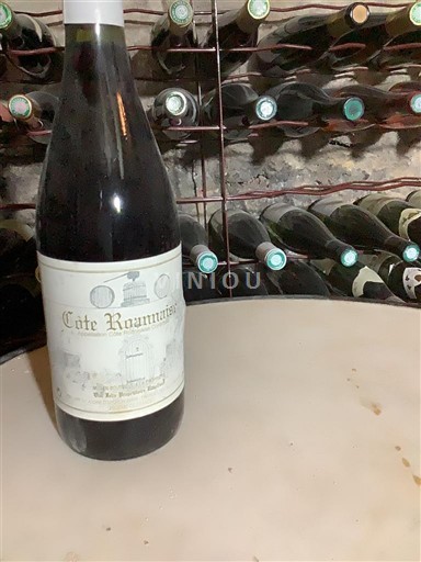 Lugina e Ronës Bregdeti i Rodanit Côte Roannaise 1999