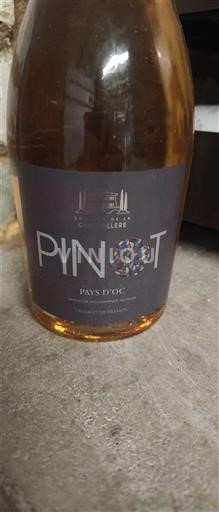 Languedoc og Roussillon Pays d'oc La Conseillère Pinot 2021