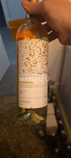 Sydväst Côtes de Gascogne Vismino 2011